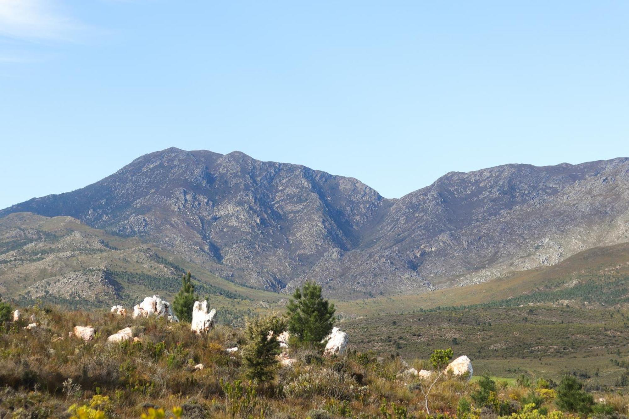 Avani Lodge Private Nature Reserve Botrivier Exterior foto